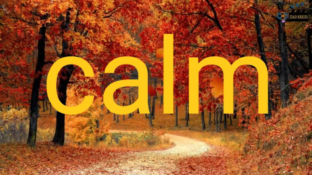 Παρακολούθηση Relaxing Asian Music "Japan Dreams" for Study, Coffee, Work, Sleep στο YouTube Παρακολούθηση Relaxing Asian Music "Japan Dreams" for Study, Coffee, Work, Sleep στο YouTube