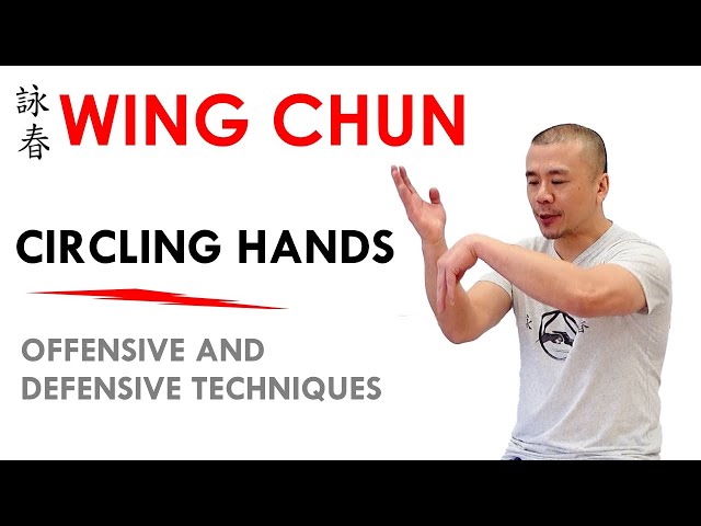 Wing Chun Circling Hands - Kung Fu Report #282 class=