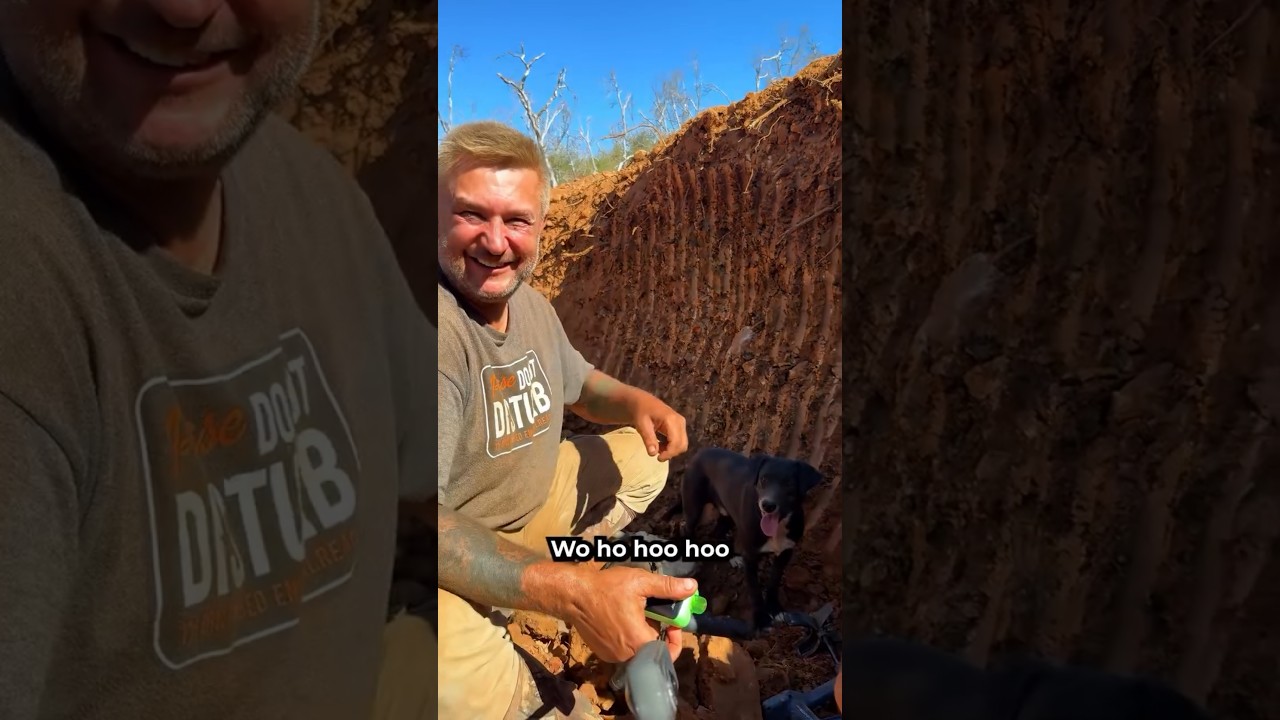 world best gold discovery series 😎 