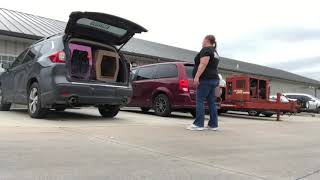 Millie - Car Manners