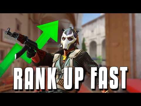 5 TIPS to