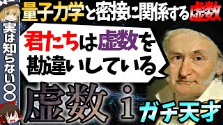 【虚数】は想像上の数ではない！？君たちは虚数を勘違いしている！【ゆっくり解説・科学】