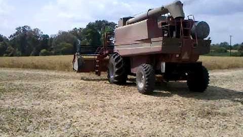 Donnell Century Farm combine unloading soybeans