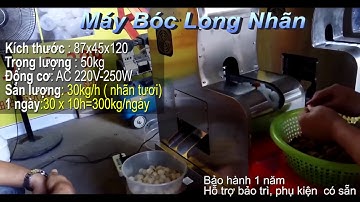 Máy Bóc Long Nhãn tự động | Cực Nhanh và Hiệu Quả