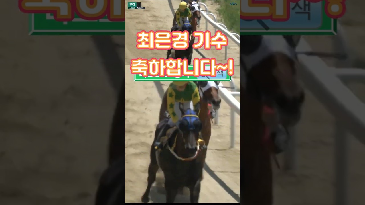 💕최은경 vs. 씨씨웡💥막판까지 접전💥최종 승자는?💕오늘의 하이라이트💕다크호스경마⚡경마예상👌경마🎈경마장😊경마방송🐎경마예상방송🫏경마하이라이트🥎경마예상 실시간🚩경마예상가🏐경마정보