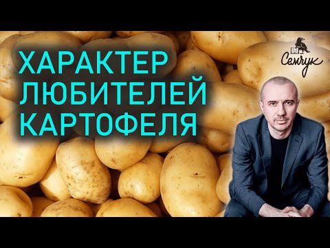 Почему хочется картошки. Причины аллергии на картофель. Феноменальная психология еды и питания