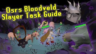 OSRS Bloodveld Slayer Guide Using the Catacombs of Kourend - Slayer Made Easy
