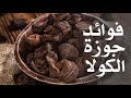 ما هي فوائد جوزة الكولا 