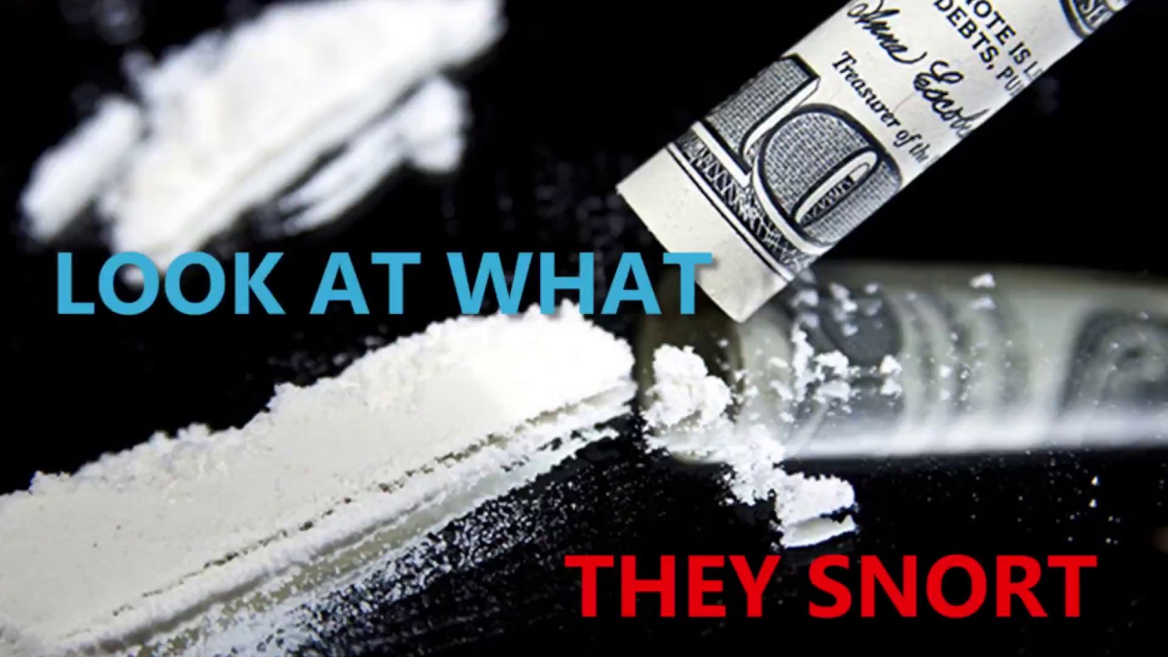 Look At What They Snort YouTube look-at-what-they-snort-youtube
