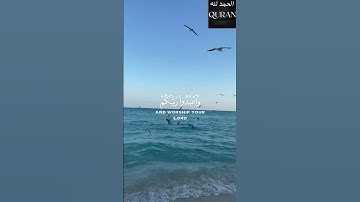 [ يَا أَيُّهَا الَّذِينَ آمَنُوا ارْكَعُوا وَاسْجُدُوا] القارئ عبدالرحمن مسعد