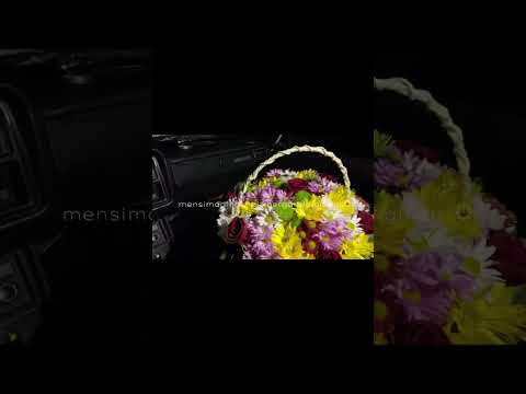 Лайк комен подписка