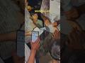 Soda Vibe Fyp Viral Shorts Mandi Qurbani Cow Trending 2026 