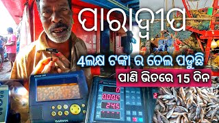 PARADEEP Fishing Harbour, paradeep fish market |   Boat chambers, fishing machine | paradeep