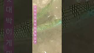몰운대전망대 영상