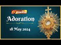  live 18 may 2024 adoration 1100 am  madha tv