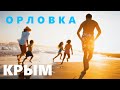 Сезон в Крыму! Очень много людей! пляж в Орловке.