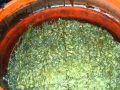 藍染 染料的製造過程(木藍)