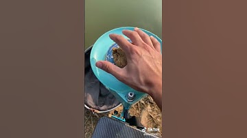 câu cá giải trí #fishing #cầnthủ