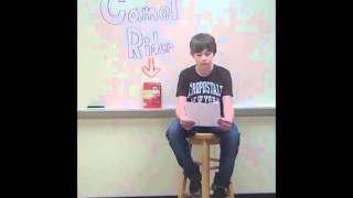 60 Second Recap- Camel Rider