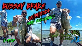 Bussey Brake with J-Rod | Bass Fishing | Schooling Shad! Crankbait Fever!!!