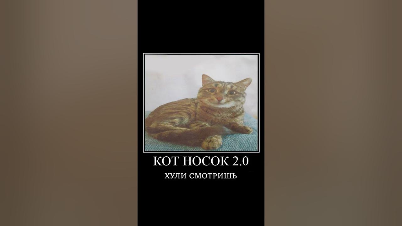 КОТ НОСОК 2.0 - YouTube