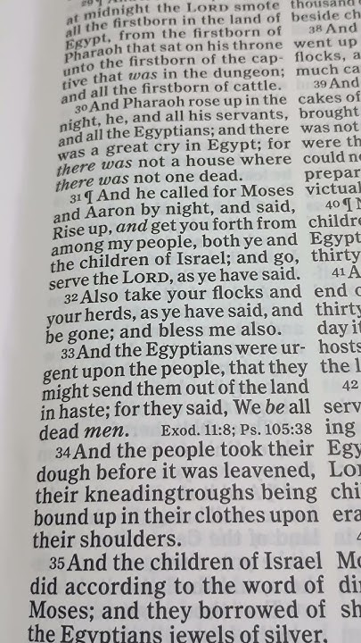 Bible Reading Exodus Chapter 12 Verse 32 33 YouTube bible-reading-exodus-chapter-12-verse-32-33-youtube