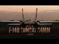 Freewing F 14D Tomcat twin 64mm EDF Jet V2