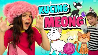 MEOW CAT - MAZAYA (Official Music Video)