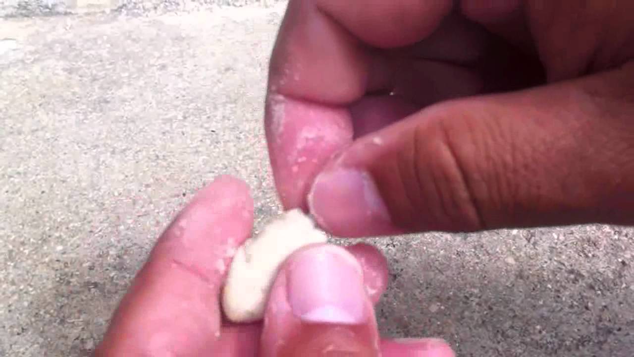 カーエー専用練り餌 掛鋭ｇ ｃｈｏのえさのつけ方 Youtube