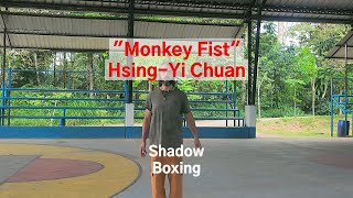Monkey Fist Hsing-Yi Chuan. Shadow Boxing