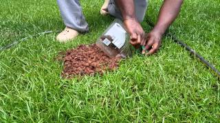 How to catch a burrowing rodent.  This a chipmunk