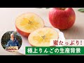 驚きの蜜入りリンゴが生産される背景