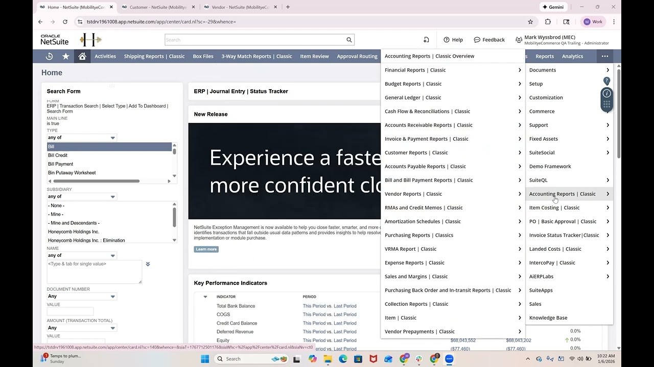 ERP Labs - Accounting Reports  Solution - Bundle 547968