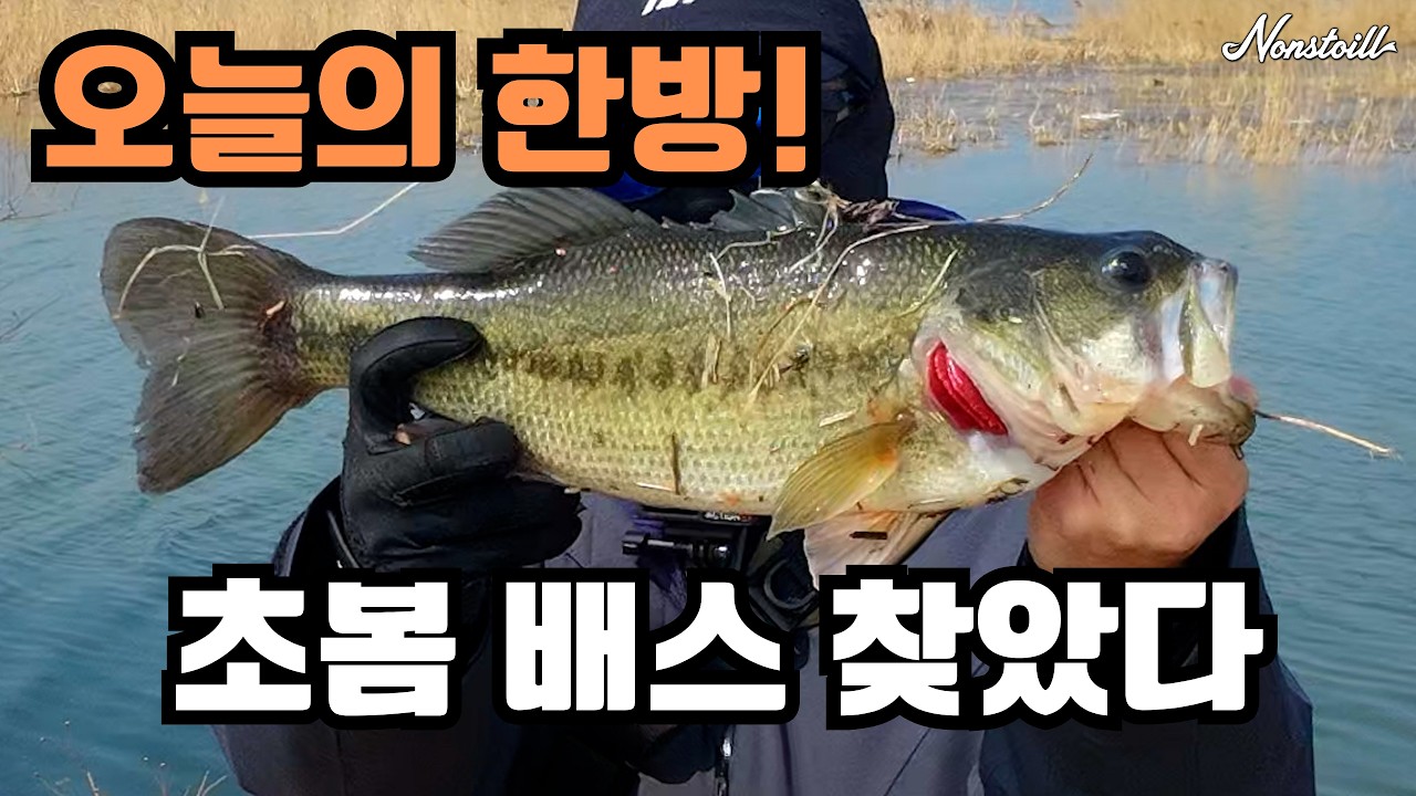 초봄 배스 포인트 공략 | 이곳에 붙어있습니다 (포인트 공개)