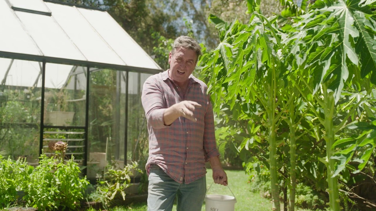 Top Autumn Leaf Cleanup Tips for Australian Gardens 2026