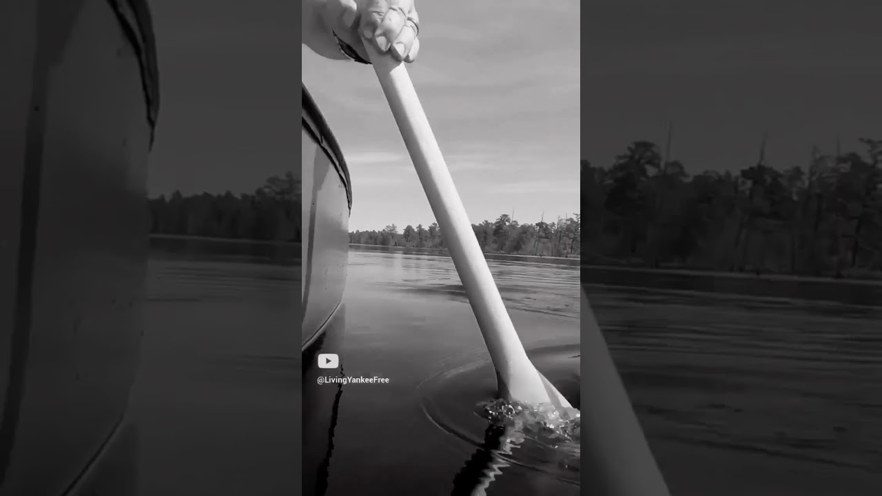 The River Knows This #canoe #knowledge #patience #relaxing #yankeefree #youtuber #shorts #paddling