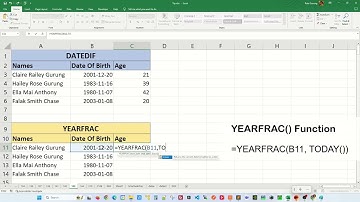 YEARFRAC() vs DATEDIF() in Excel - Excel Tips and Tricks