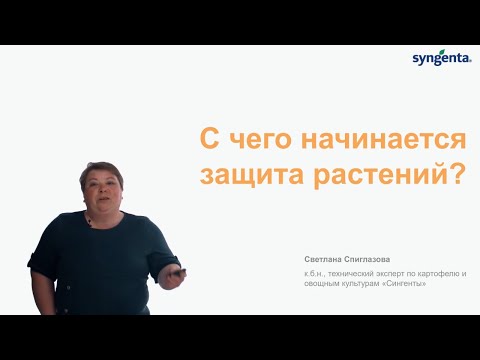 Как отличить антракноз картофеля от бактериоза