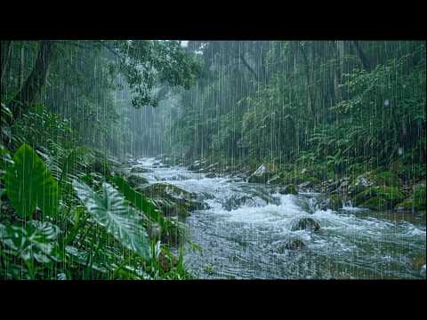 No Ads. Goodbye Tinnitus & Sleep Deeply with Gentle Rain Sound on Forest Stream | ASMR Natural Sound