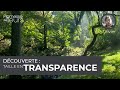 Dcouverte  la taille en transparence