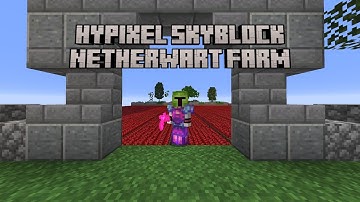 How to Build a Max Efficiency Netherwart Farm for Hypixel Skyblock