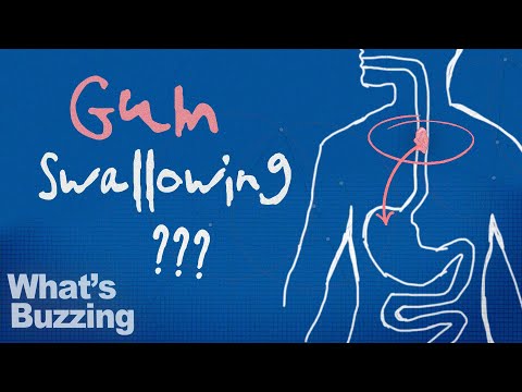 What actually happens if you swallow gum?