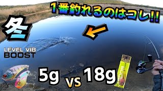 【VS企画】レベルバイブブースト『5g』と『18g』どっちの方が1番釣れるの⁉︎  【冬に1匹でも釣りたい人は絶対に見た方がいい動画❄️】レイドジャパン RAIDJAPAN 『冬のバス釣り』