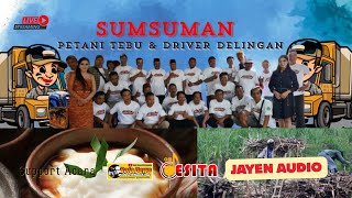 Download lagu LiVe OM DESITA | SUMSUMAN PADED | JAYEN Audio