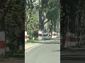 ek din bhi esa na gaya#nature #youtubeshorts
