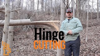 Creating Wildlife Habitat through Hinge Cutting