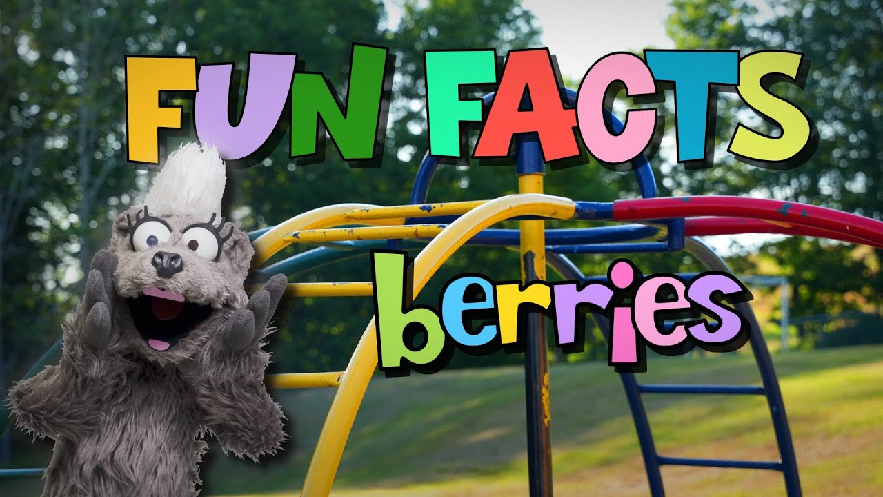 Berries | Fun Facts | Park Players - YouTube