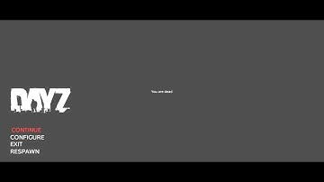 DayZ 0.61 F***en  Ladders