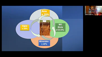 ¿Cuál es la función del suelo en un ecosistema?