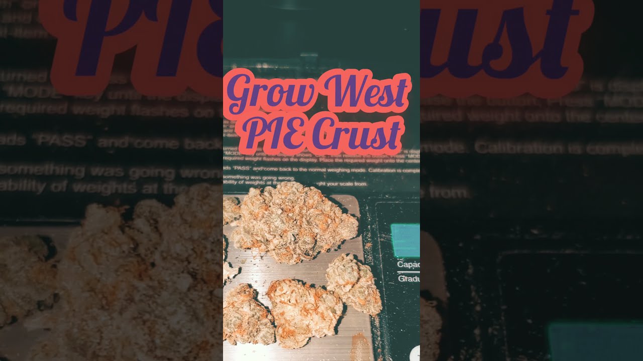 Pie Crust by Grow West YouTube